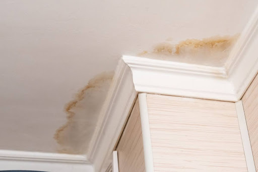 Water stains on a ceiling in a home.