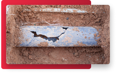 Sewer and Drain Services